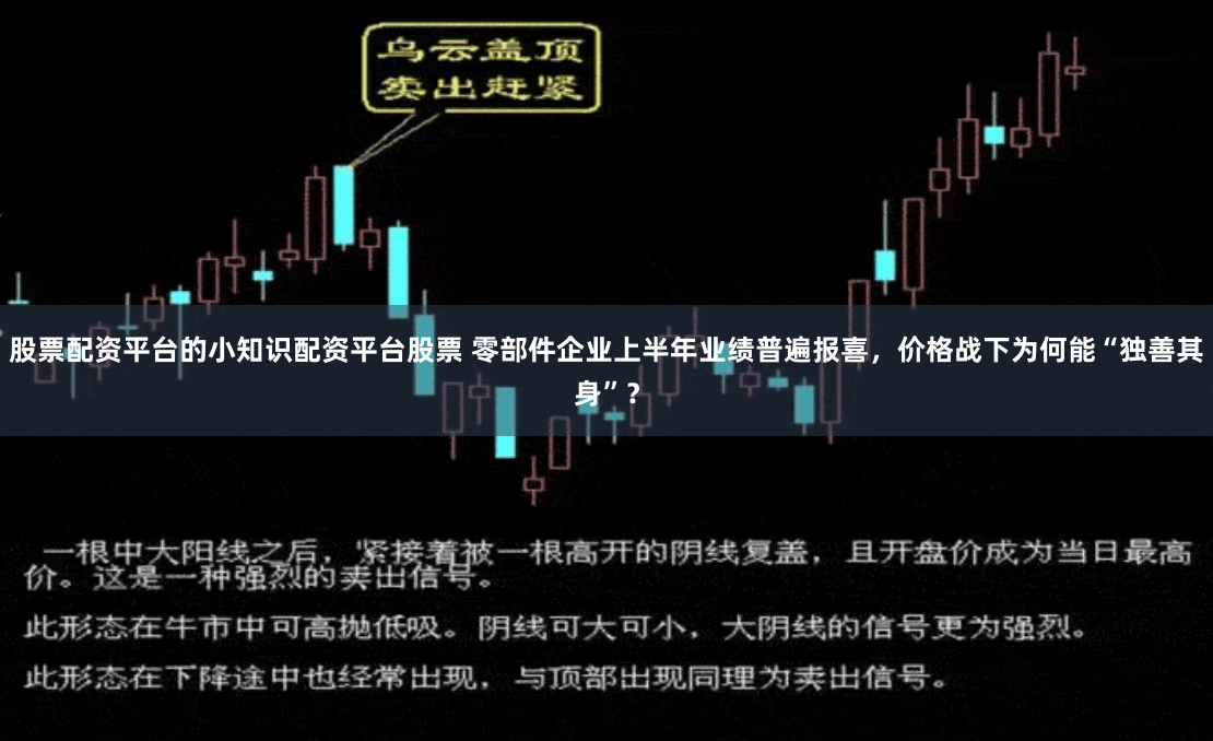 股票配资平台的小知识配资平台股票 零部件企业上半年业绩普遍报喜，价格战下为何能“独善其身”？