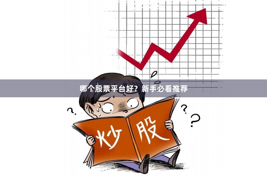 哪个股票平台好？新手必看推荐